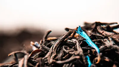 Matifot Studio Fotograficzne